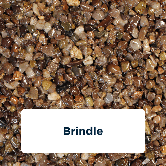 brindle-2