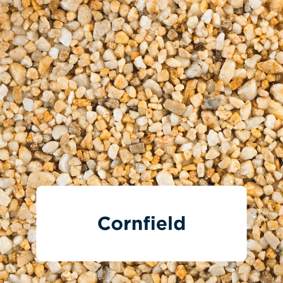 cornfield-2