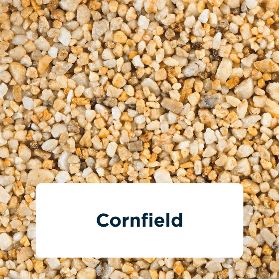 cornfield