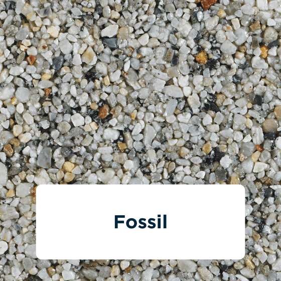 fossil-2