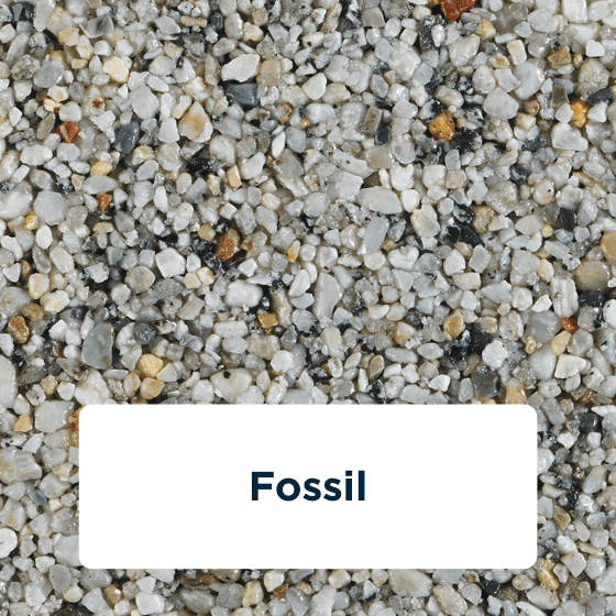 fossil
