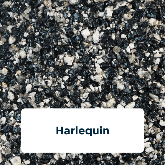 harlequin-2