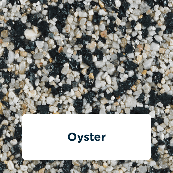 oyster-2