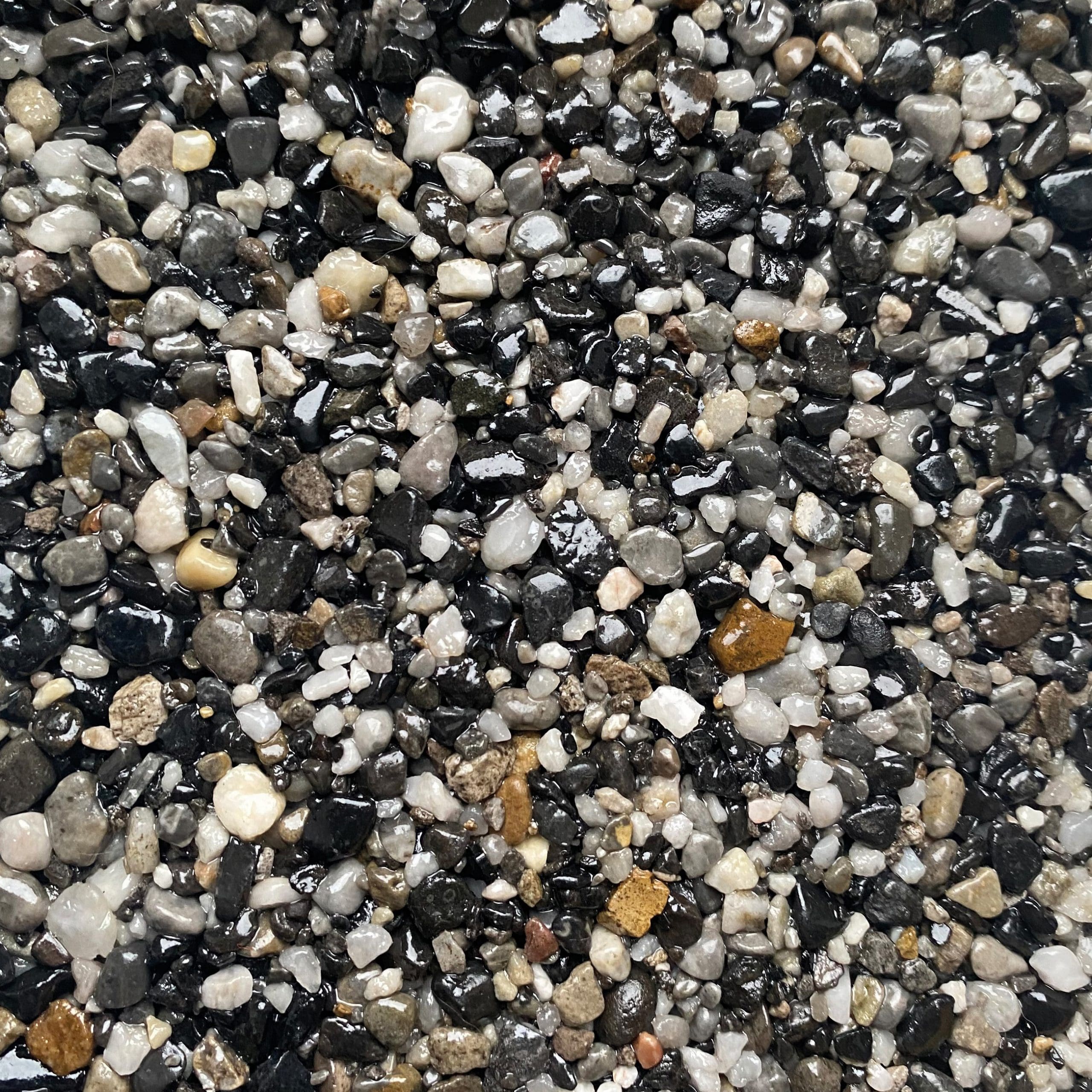 Ocean Pearl