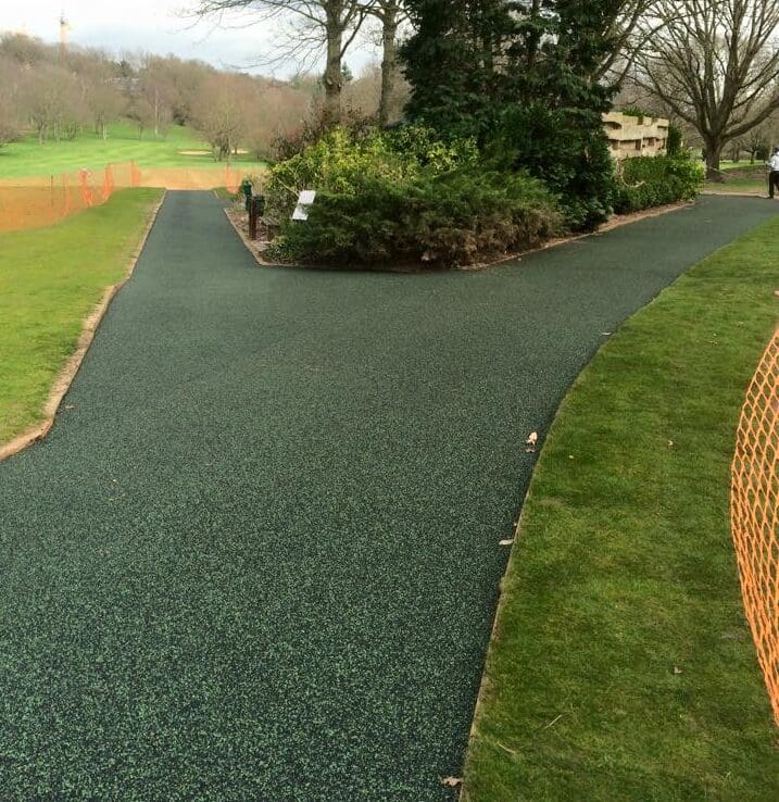 11072683_360970090757482_1508693633085197324_n